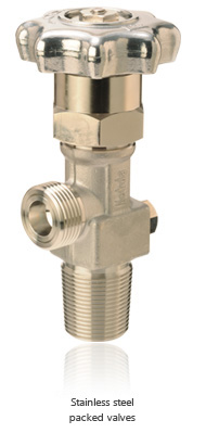 Stainless steel packed valves