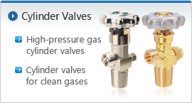 Cylinder Valves