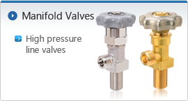 Equipment Valves