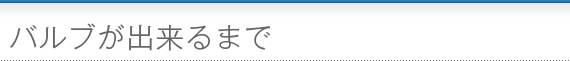 バルブが出来るまで